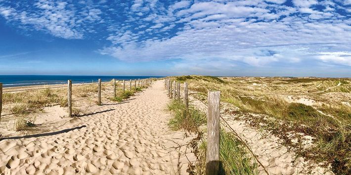 Dünen in Egmond aan Zee.